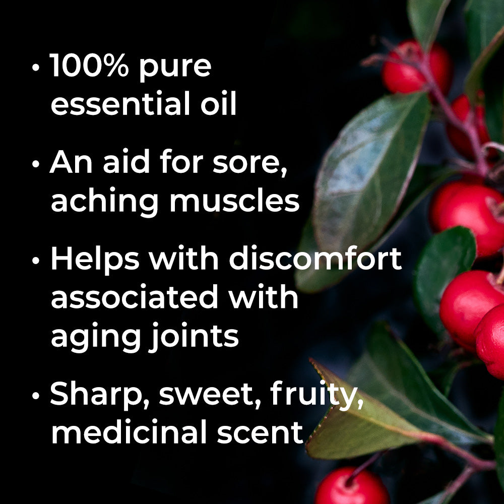 Organic Wintergreen Essential Oil – Plant Therapy